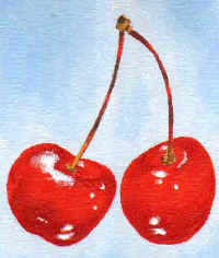 cherries.jpg (38386 bytes)