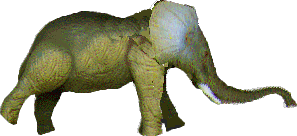 Judy's elephant